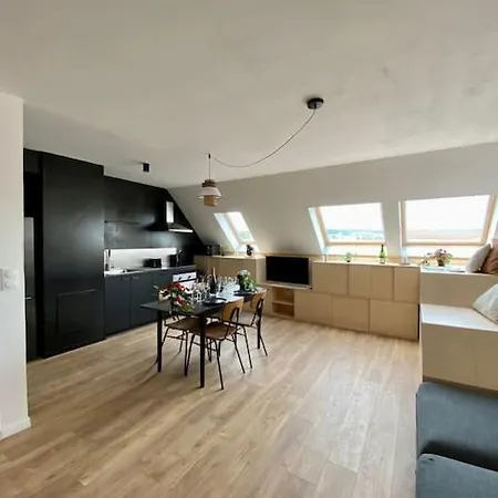 Apartamento E Centre Professeur Langevin Spacieux Cosy