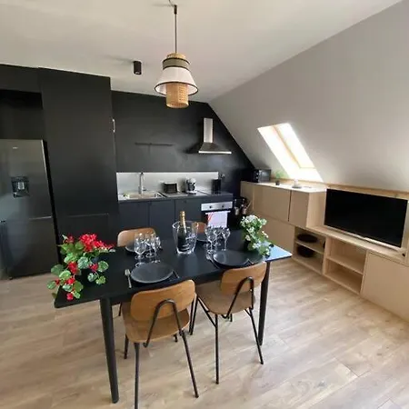Apartamento E Centre Professeur Langevin Spacieux Cosy Épernay